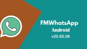 Integrating FM WhatsApp into Your Daily Communication Routine